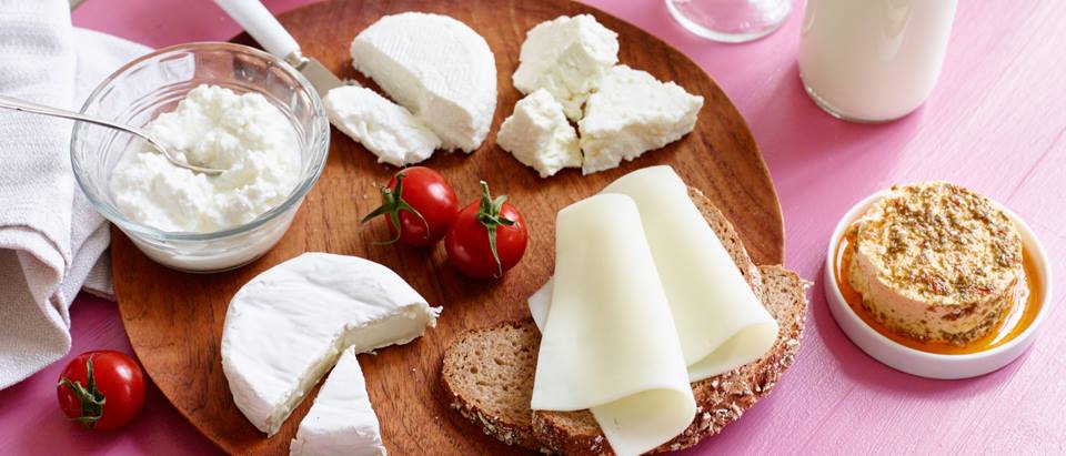 Ziegenscheibenkäse, Weichkäse, Fetakäse, Joghurt, Tomaten