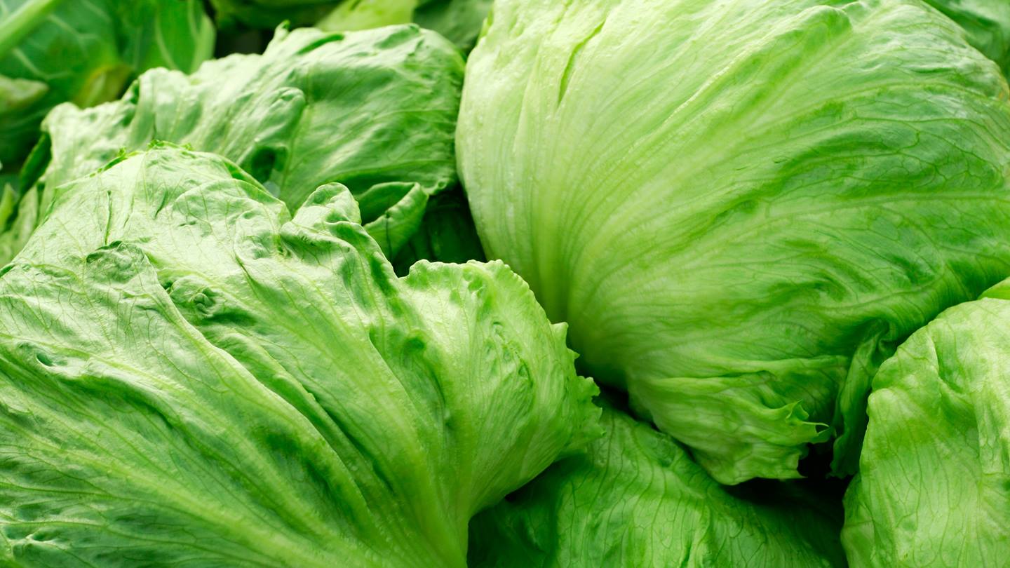 Alnatura Saisonkalender: Eisbergsalat